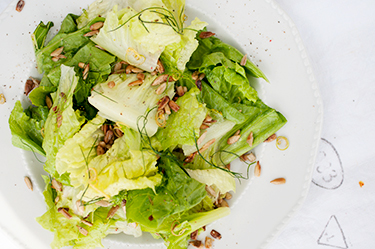 Romaine-saladd